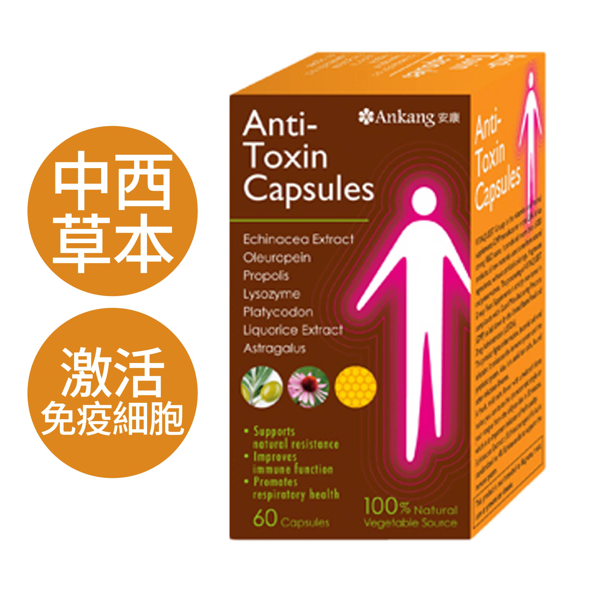 抗毒寶(60粒/盒)